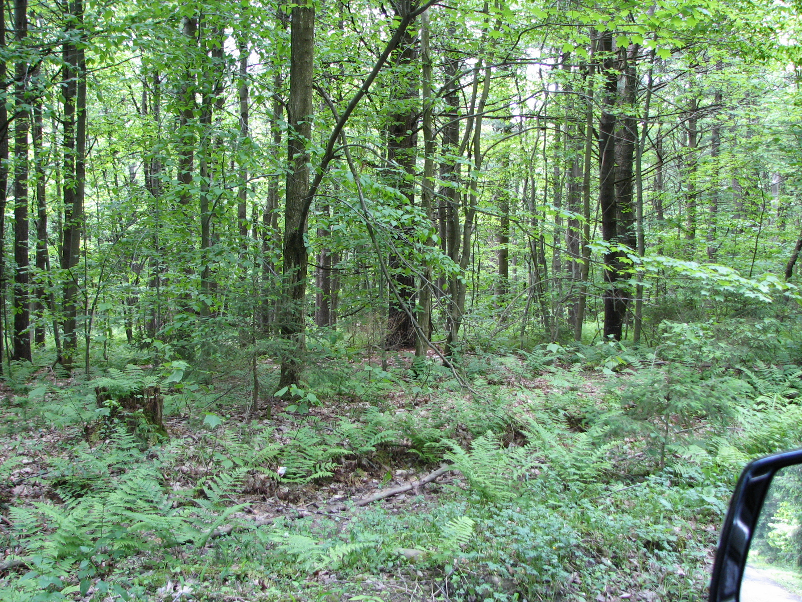 IMG_0639.JPG