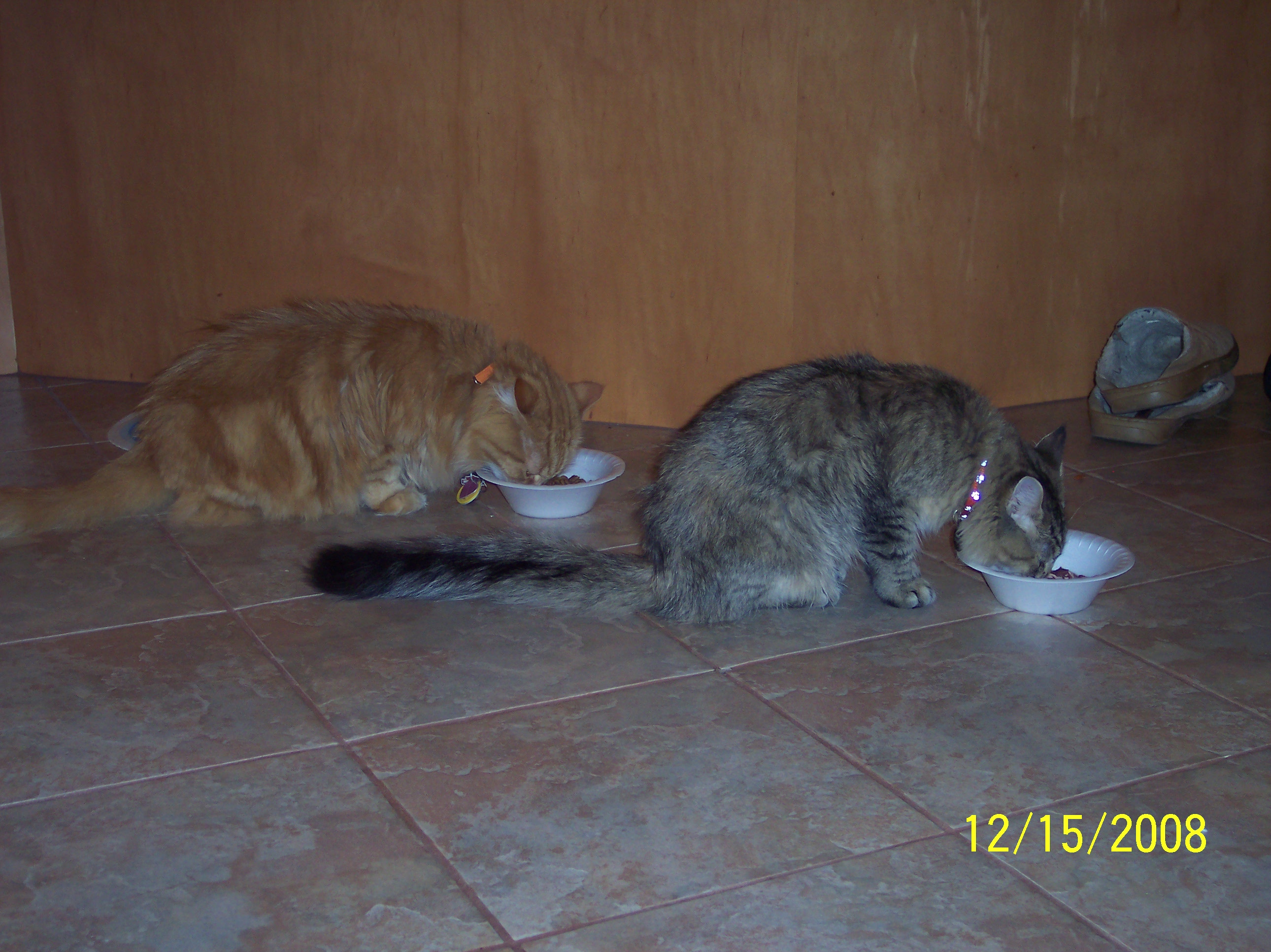 100_1614.jpg