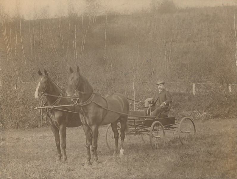 Two%20Horses%20&%20Man%20in%20Carriage%20in%20Field%20rs-L.png