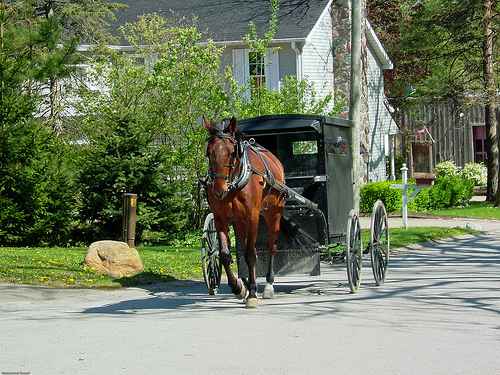 horsecarriage.jpg